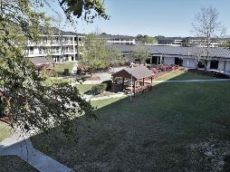 El hecho ocurre dos días después de que un marinero asesinara a dos personas e hiriera a una tercera antes de suicidarse en un tiroteo registrado en la base naval de Pearl Harbor. AFP / ARCHIVO