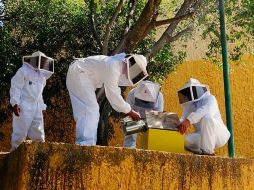 Equipo. La nueva unidad ya suma 17 intervenciones. EL INFORMADOR / R. RIVAS