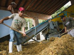 Pactan frenar contaminación por hacer tequila