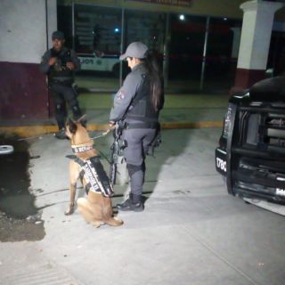 Aseguran 60 kilos de mariguana en Tlaquepaque