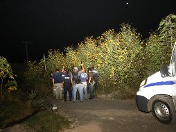 La Unidad Especializada en Investigación de Feminicidios de la Fiscalía Estatal se ocupa del esclarecimiento de los crímenes. EL INFORMADOR/Archivo