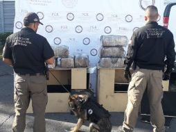 Los paquetes fueron asegurados para entregarlos al Ministerio Público Federal, que inició con las investigaciones. ESPECIAL