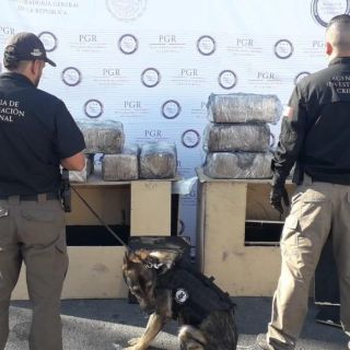 Intentan enviar 56 kilos de mariguana en dos "muebles" en Guadalajara