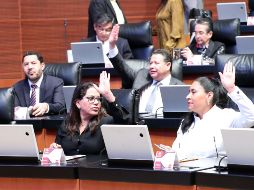 Aunque la mayoría de los legisladores aseguran que el T-MEC resultará benéfico para la economía del país, otros aseguran el documento no es claro. EFE/Senado de la República