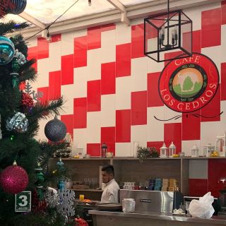 Perdonaron impuestos por 4.7 MDP a esposa de García Luna