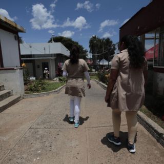 Van 19 liberaciones con perspectiva de género