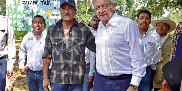 L&oacute;pez Obrador pide a t&eacute;cnicos tener avances de Sembrando Vida en 2020