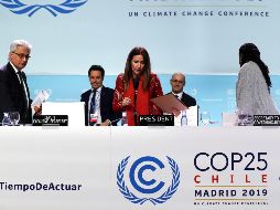 La Cumbre del Clima tuvo la presencia de casi 200 países para debatir sobre la lucha contra el cambio climático. EFE / Zipi