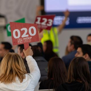 Megasubasta alcanza casi 80 millones de pesos