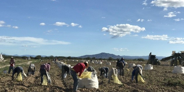 Crece un mill&oacute;n de pesos econom&iacute;a de Jalisco en 2018