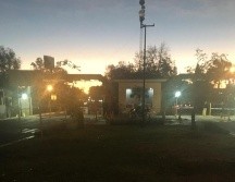 En el ingreso había 11 árboles que fueron retirados; faltan 15. ESPECIAL