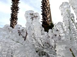 En una Navidad en que se registraron temperaturas bajo cero, Esmond la pasó sin electricidad ni calefacción al no poder pagar sus facturas. AP/ARCHIVO