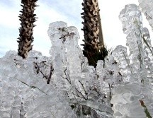 En una Navidad en que se registraron temperaturas bajo cero, Esmond la pasó sin electricidad ni calefacción al no poder pagar sus facturas. AP/ARCHIVO