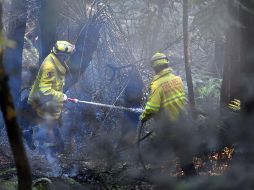 Advierten que Sídney se enfrenta a una 
