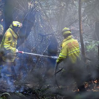 Decretan estado de emergencia por incendios en Nueva Gales del Sur