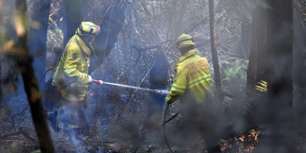 Decretan estado de emergencia por incendios en Nueva Gales del Sur