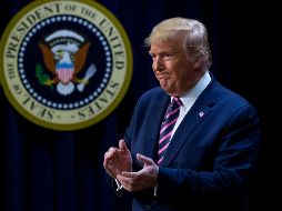 El sistema de muros a lo largo de la frontera entre Estados Unidos y México, una prioridad para Trump, también fue considerado en el acuerdo. EFE/M. Reynolds