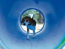 Vecinos de Jardines Universidad y Vallarta Universidad son los principales beneficiados. ESPECIAL