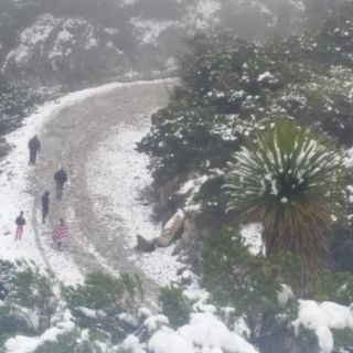 Se registra primera nevada en municipios de Zacatecas
