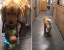 Ben Franklin fue captado infraganti, perpetrando su crimen. Policía de Franklin