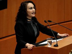 Padierna asegura también que el T-MEC incluye cláusulas para prevenir y reducir los desechos marinos, evitar la caza de ballenas con fines comerciales y promover la gestión forestal sostenible. NTX/ARCHIVO