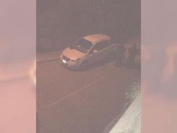 El medio Unitel difunde que policías detuvieron a estas unidades, aparte menciona que los automóviles tenían placas de la embajada de España, según fuentes de Inteligencia, que ellos consultaron. Twitter/ @mtmercado2002