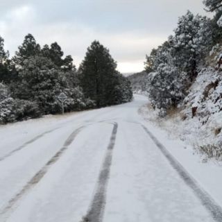 Por tormenta invernal, Chihuahua se cubre de nieve