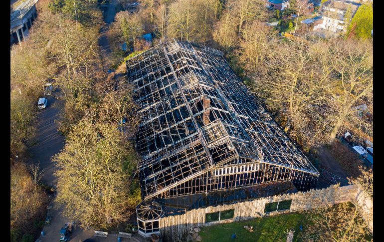 Así quedó el área de los monos tras el incendio. Dos chimpancés sobrevivieron y presentaban quemaduras leves.