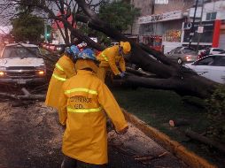 El SMN pronosticó bajas temperaturas, lluvia, y vientos con rachas de 80 a 60 kilómetros por hora. EL INFORMADOR / ARCHIVO