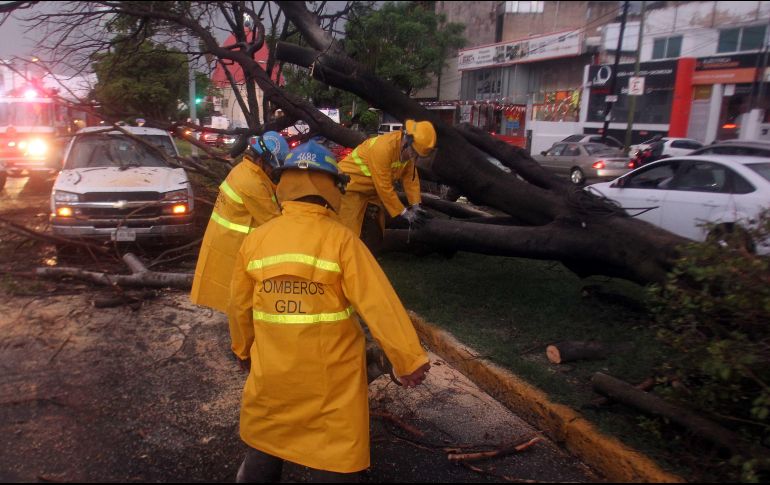 El SMN pronosticó bajas temperaturas, lluvia, y vientos con rachas de 80 a 60 kilómetros por hora. EL INFORMADOR / ARCHIVO