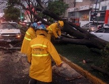 El SMN pronosticó bajas temperaturas, lluvia, y vientos con rachas de 80 a 60 kilómetros por hora. EL INFORMADOR / ARCHIVO