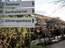 El delito de incendio provocado por negligencia conlleva una sentencia de hasta cinco años en prisión. EFE / S. Steinbach