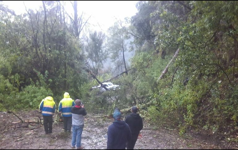 En cuanto las condiciones mejoren se anunciará la reapertura del Nevado de Colima. TWITTER / @PCJalisco