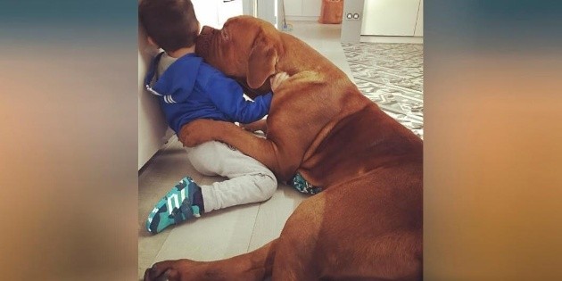 El "monstruoso" perro del hijo de Messi