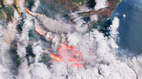 Tan sólo en Australia más de 10 millones de hectáreas fueron arrasadas por el fuego en la segunda semana de enero. EFE/E. Handout