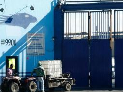 Horacio Servín, socio de la Fábrica de Sulfato El Águila, fue detenido el 25 de diciembre por la Fiscalía General de la República (FGR). ESPECIAL