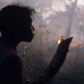 Incendios en Australia | "Los arbustos deben arder": la milenaria técnica que proponen los aborígenes para controlar el fuego