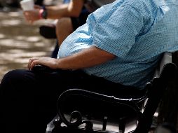 En células hepáticas el AHR, cuando es bloqueado por NF, no puede inducir varios genes clave necesarios para el almacenamiento y la síntesis de grasas. AP/Archivo