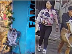 Con dificultad debido a la corpulencia del perro, el sujeto lo cargó mientras que su cómplice vigilaba que nadie los viera. ESPECIAL