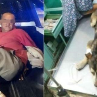 Vinculan a proceso a hombre por violar a perrita "Mati"