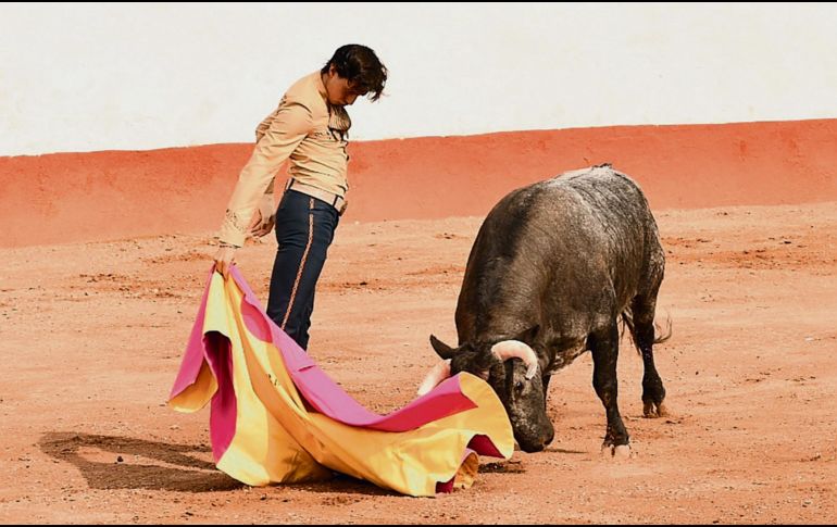 A lucir. Como parte de su preparación para su gira en México, el diestro sudamericano realizó labores de tienta en la ganadería jalisciense de Pablo Moreno. ESPECIAL/G. Espinosa