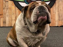 Ayer miércoles, el dueño de 