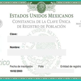 Niegan fallas en trámite de la CURP por Internet