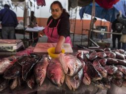 Asimismo, la tasa de ocupación en el sector informal representó 27.4% en el último mes de 2019. EL INFORMADOR / ARCHIVO