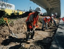 Denuncian que autoridades no han dado a conocer el número real de fincas afectadas, pues manejan con mucho sigilo el tema. EL INFORMADOR/ARCHIVO