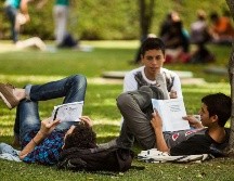 Son muchas las categorías que se han establecido según el año de nacimiento, las vivencias compartidas, la forma de interactuar y los gustos sociales. EL INFORMADOR / ARCHIVO