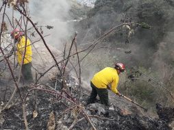 Luego de aproximadamente 20 minutos, las llamas fueron liquidadas por los bomberos. TWITTER/@SemadetJal