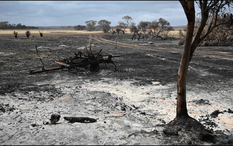 La lluvia de los recientes días ayudó a mantener bajo control los incendios que asolaban el sureste del país. AFP / ARCHIVO
