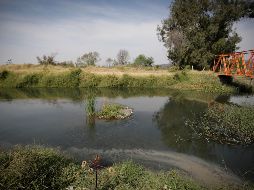 Habitantes de Atotonilquillo exigen a las autoridades que hagan lo que sea necesario para revertir el deterioro del canal de Atequiza y del río Santiago. EL INFORMADOR/F. Atilano