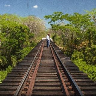 Ordenan la suspensión temporal del Tren Maya